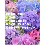 日記画像