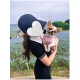 日記画像