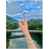 日記画像