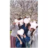 日記画像