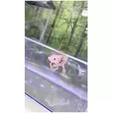 日記画像
