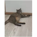 日記画像