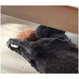 日記画像
