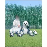日記画像