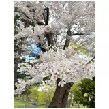 日記画像