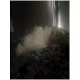 日記画像
