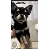 日記画像