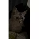 日記画像