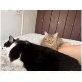 日記画像
