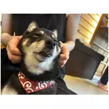 日記画像
