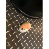 日記画像