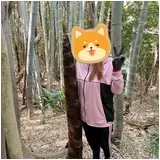 日記画像
