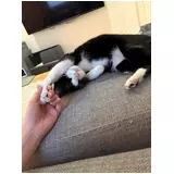 日記画像