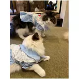 日記画像