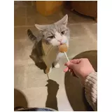 日記画像