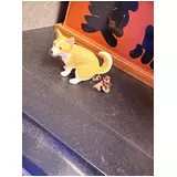 日記画像