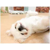 日記画像