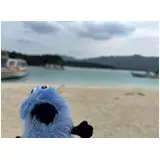 日記画像