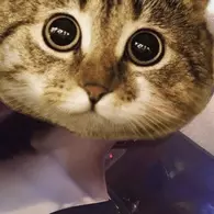 ちか