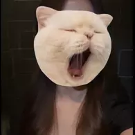 のぞみ