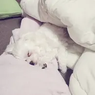 すみれ(ママ)