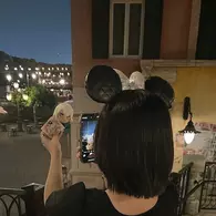かいな