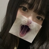 ナイトスタイル