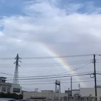 ナイトスタイル