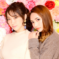 ヤシの木 ここな