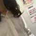 ナイトスタイル