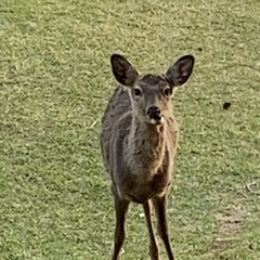 ７月20日、日曜日ロゼオにて❣️
