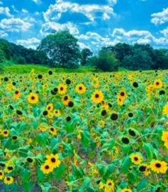 1BFBD2D3-8C79-451A-8E81-47305976FA4E.webp