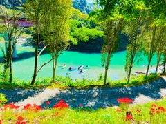 7403D377-E010-4208-B46E-14485EE5C5D0.webp