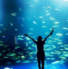 8FD2B080-8219-4A9E-A4C5-D4C7AB0F6311.webp