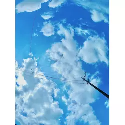 ほたる♡