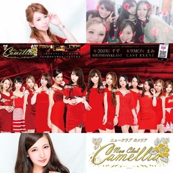 New Club Camellia