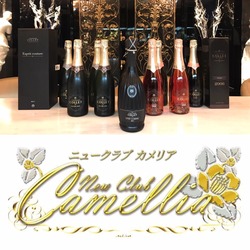 New Club Camellia