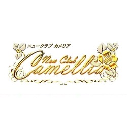 New Club Camellia