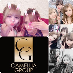 New Club Camellia