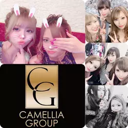 New Club Camellia