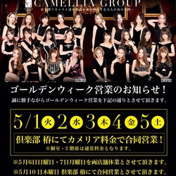 New Club Camellia