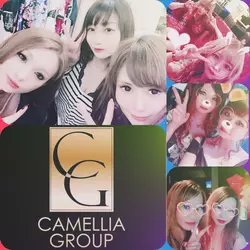 New Club Camellia
