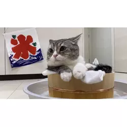 つかさ