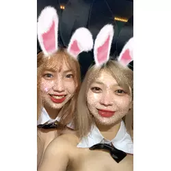 Bunny's Bar HAPPY ALICE