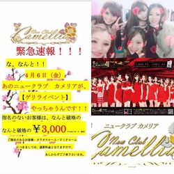 New Club Camellia