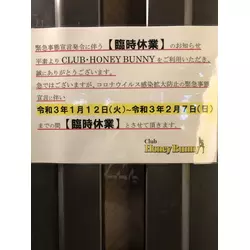 Club Honey Bunny
