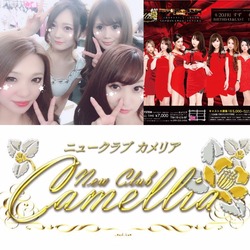 New Club Camellia