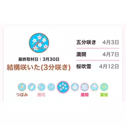 NEW CLUB Dearest