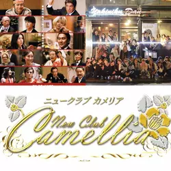 New Club Camellia
