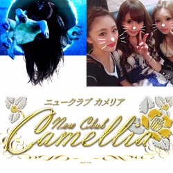 New Club Camellia